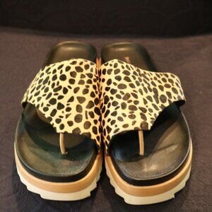 Donald Pliner Animal Print Slides, Size 11